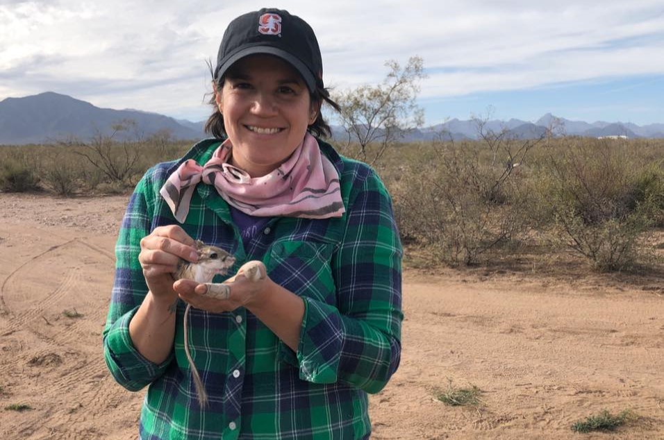 Dr. Jess Martin holding a kangaroo rat in her hands. She is in the desert, wearing a green plaid shirt and black baseball cap.