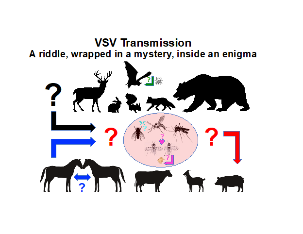 VSV-schematic.png